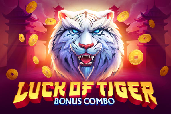 Luck Of Tiger: bonus combo